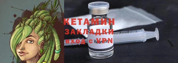 гидра Няндома