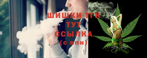 гашик Новокубанск