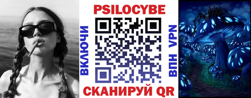 где можно купить наркотик  Подпорожье  Псилоцибиновые грибы Cubensis 